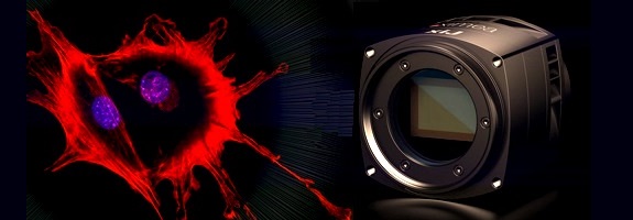 Cooled CCD cameras - support page - All products - ximea support